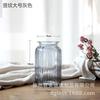 Vaso de Vidro Transparente Listra Vertical Simples Flores Hidropônicas Flor Seca Flor Flor Aparato Casa Sala de Estar Grande Enfeites Decorativos