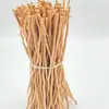 Vendas diretas do fabricante: Varetas difusoras de aroma de galho de salgueiro decorativo, kit de materiais para decoração de galho de salgueiro para difusão de fragrância de interior