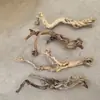 Terrario para reptiles paisajismo madera esquina de pestañas de serpiente caja de gecko lagarto trepador doble corona plataforma para tomar el sol patrón de dragón madera muerta