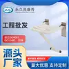 Baño Amigable con la Edad, Inodoro Silla para Ducha para Personas Mayores, Anticaídas, Plegable, Acero Inoxidable y Plástico, para Uso en el Hogar