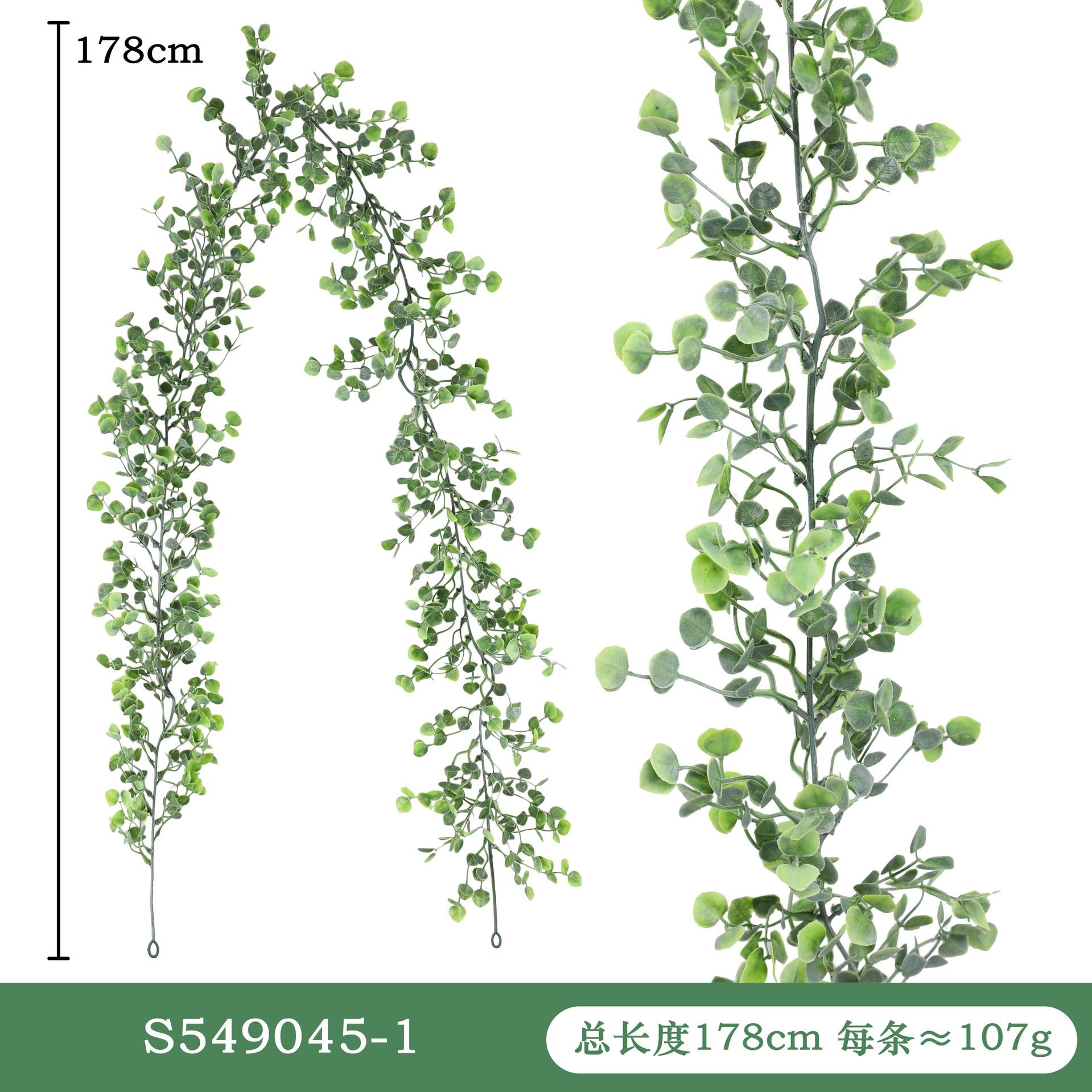 S549-尺寸图