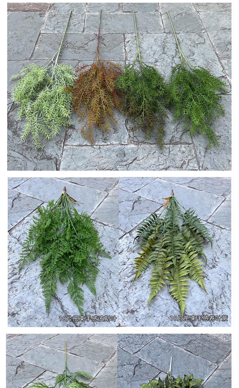 中号飞燕草-详情_06.jpg