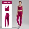 Conjunto de Yoga Feminino de Duas Peças com Top Esportivo de Bojo Fixo em Tela Borboleta e Calça de Yoga Justa em Lycra Sem Costuras
