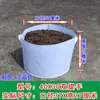 Bolsa de Cultivo de Tela No Tejida Bolsa para Semilleros de Venta Caliente Bolsa de Plantación para Vivero Maceta para Balcón Maceta Nutritiva Bolsa Engrosada para Plantar Árboles Fija