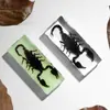 Especímenes de Insectos de Resina Real: Insectos Reales, Escarabajos, Arañas, Ciervos Voladores, Escarabajos Rinoceronte, Escorpiones, Ciempiés, Cangrejos, Mantis Religiosas, Adornos de Especímenes