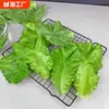 Simulação Folhas de Alface Pequenas Modelo de Vegetal Folhas de Vegetais de PVC Exibição de Alimentos de Cozinha Adereços para Sessão de Fotos de Fazenda Restaurante