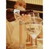 Sakeware Cubo de Hielo Restaurante Batidor de Vino Olla de Vino Gota Dividida Olla para Vino Frío Vino Caliente Olla Japonesa para Vino Caliente Revestimiento Interior