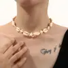 Colar de Corrente para Clavícula Estilo Praia Moda Elegante Europeu e Americano Estrela-do-mar Concha Trançado Novo Estilo de Férias Atacado