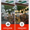 Fio de Luzes de Bola de Bolha Solares LED para Exterior à Prova d'Água Jardim Luzes de Atmosfera Estrelada de Alto Brilho Luzes Decorativas de Natal