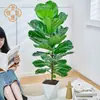 Creación de Plantas LingxiHiguera de Hojas de Violín 80cm-120cm Mediana a Grande Hojas Grandes Tronco Viejo Planta en Maceta Vegetación de Oficina