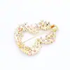 Jardín de los Sueños Broche de Calabaza Diamante Rosa de Nicho Elegante Dulce Exquisito Pin de Alta Gama Accesorio Anti-Exposición para Mujer