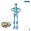 Figura de Acción de Soldado Esqueleto de Escritorio Juguete Coche Adorno de Decoración Interior Modelo de Ensamblaje de Bloques de Construcción Esqueleto Magnético Figura de Acción Móvil Esqueleto