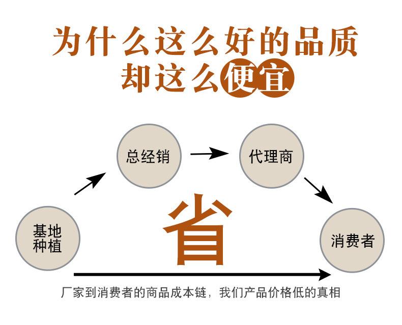 老陈皮_02