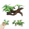Plantas Verdes Decorativas para Reptiles y Anfibios, Plantas de Paisajismo para Terrarios, Madera Flotante Plástica para Acuarios, Juego de Adornos de Hierba y Hojas