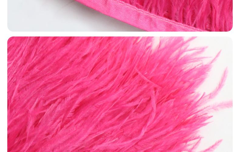 鸵鸟毛布条8-10_15