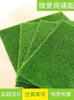 Grama Artificial, Musgo Falso, Materiais de Decoração DIY para Micro-Paisagem de Suculentas, Grama Flockada, Musgo