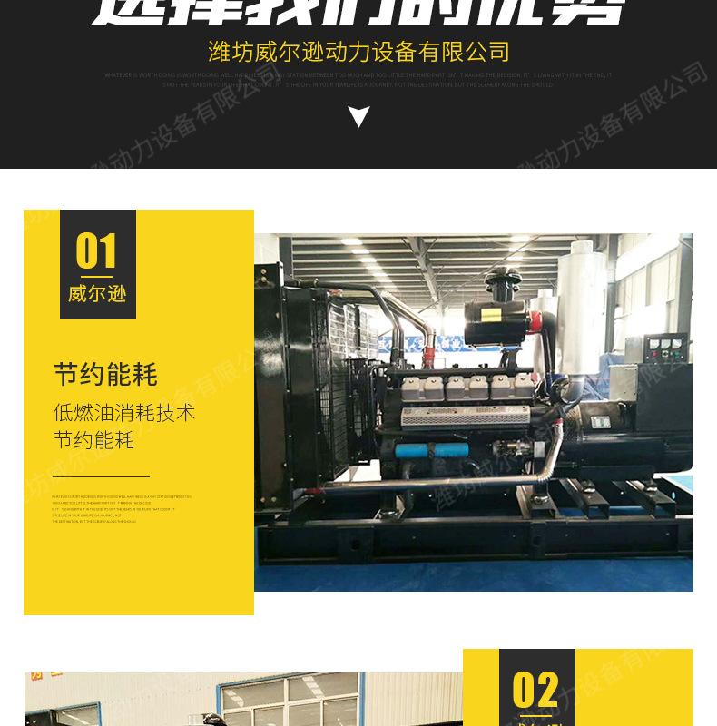 上海800千瓦发电机组_04.jpg
