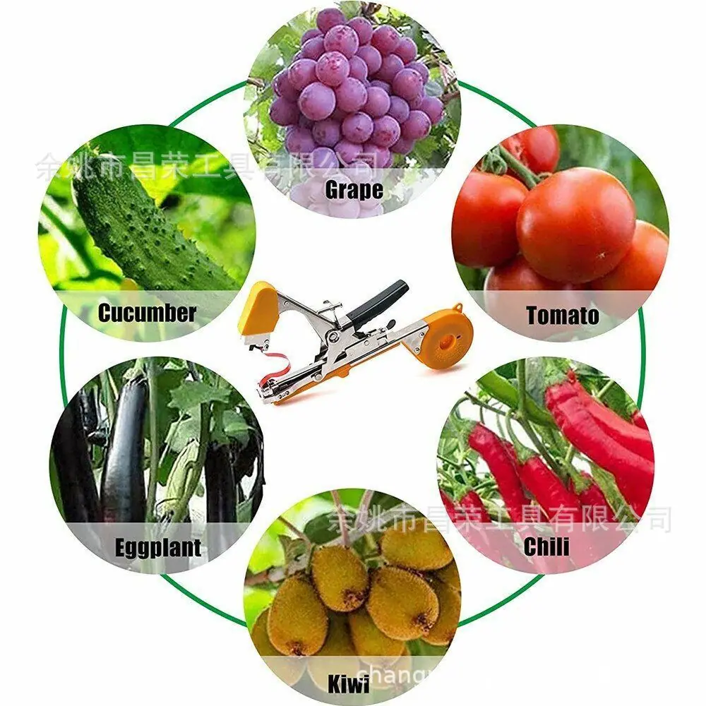 s-l1600 (33)