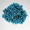 Material de buquê de simulação flor de noiva flor de retrato pessoal material para guirlanda diy espiga de estrela de simulação 12 um molho