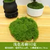 Paisajismo con musgo artificial, musgo falso, césped sedoso, plantas verdes, plantas de micro paisajismo, musgo de terciopelo artificial decorativo