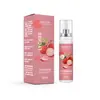 Spray para hálito fresco, spray bucal, refrescante bucal, fragrância de longa duração, um gadget prático para encontros, spray refrescante, spray de limpeza do hálito