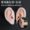 Modelo de ouvido silicone características faciais realistas material didático modelo display aparelho auditivo artificial orelha de prática limpeza de ouvido ensino adulto