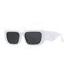 Comercio exterior tendencia retro moderna ojo de gato gafas de sol escocesas callejera europea y americana INS gafas de sol transfronterizas spr112