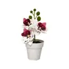 Mini 3 orquídeas artificiales Phalaenopsis en macetas aterciopeladas, suministro de exportación directa, flores artificiales de tacto realista, bonsái, accesorios para fotografía