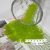Cuentas de Arroz Domésticas Vidrio Transparente Mate Material de Bordado Pulsera Collar Pendientes Flor de Cuenta Material Hecho a Mano DIY Cuentas