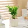 Plantas tolerantes a la sombra: Filodendro y Palma Areca, Plantas verdes de estilo nórdico para oficina y sala de estar, Macetas que purifican el aire