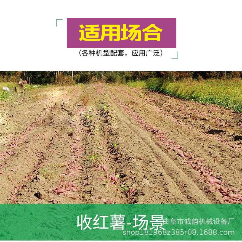 mtw-00183438.jpg