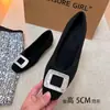 Zapatos Individuales de Mujer con Tacón de 5 cm de Altura, Puntera Cuadrada, Pedrería Gris, para Mujeres Petites, Zapatos Mary Jane de Peluche con Piel, Boca Baja, Otoño/Invierno 2025