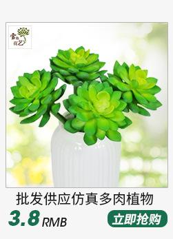 多肉植物_02.jpg
