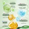Shampoo Gardenia Fragrância Mágica Anticaspa Anticoceira Controle de Oleosidade Shampoo Fofo para Melhorar a Fragrância e Suavidade Fragrância Duradoura Loção