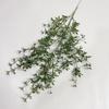 Efecto de tinte en flor de plástico no regresa, no cambia color verde de boda planta verde fresca pequeña material de hoja hierba creciente niebla