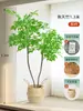 Decoración de planta verde artificial, nandina interior simulada, planta grande de lujo ligero de alta gama en maceta para el lado del sofá de la sala de estar, árbol biónico avanzado