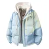 Tamanho europeu transfronteiriço pode imprimir LOGO grafeno falso duas peças casaco de algodão masculino inverno solto com capuz estilo casal jaqueta de algodão outer wear