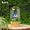 Pedra Bruta de Cristal Natural Cogumelo Micro Paisagem Mineral Marca Garrafa Ornamento Cristal Jade Cogumelo DIY Garrafa dos Desejos Garrafa de Rolha