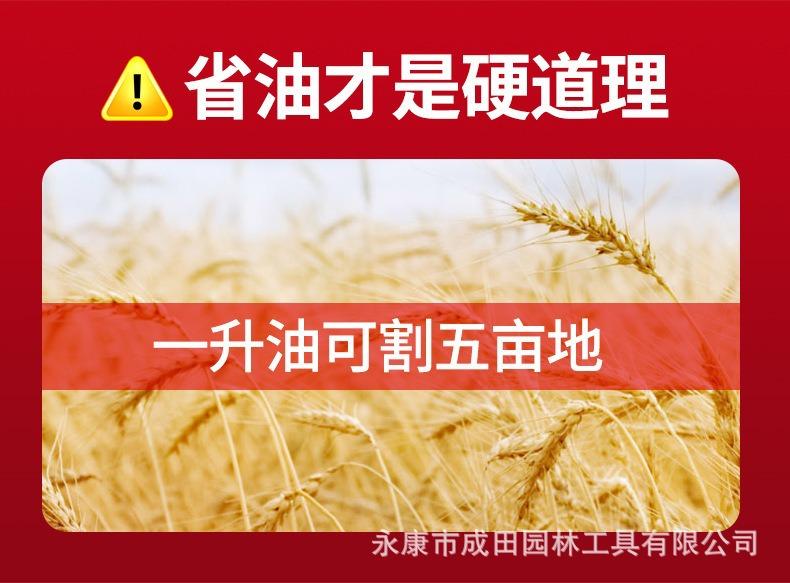 详情图片_11.jpg