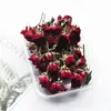 Flores Secas de Rosa Multicabezal, Burbujas de Rosa, Rosas Pequeñas, Velas Aromáticas de Resina, Kits de Materiales DIY para Marcos de Fotos, Venta al por Mayor desde el Fabricante