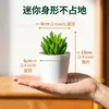Set de Bonsái de Suculentas de Plástico Mini en Stock, Suculenta Artificial Creativa de Amazon, Flor Artificial Transfronteriza Planta en Maceta Pequeña