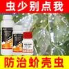 Insecticida para Cochinillas, Insecticida para Plantas con Flor y Suculentas, Eliminador de Cochinillas, Insecticida Genuino para Plagas de Flores y Plantas