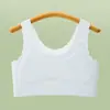 Primera Etapa del Período de Desarrollo: Base de Maquillaje Líquida, Ropa Interior para Niñas, Copa Fija, Corrección de Postura, Anti-Golpes, Chaleco Pequeño Cómodo y Transpirable