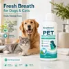 Enxaguante Bucal KineShineX para Pets, Solução Universal de Limpeza e Cuidado Oral para Gatos e Cães, Refresca o Hálito e Reduz o Tártaro