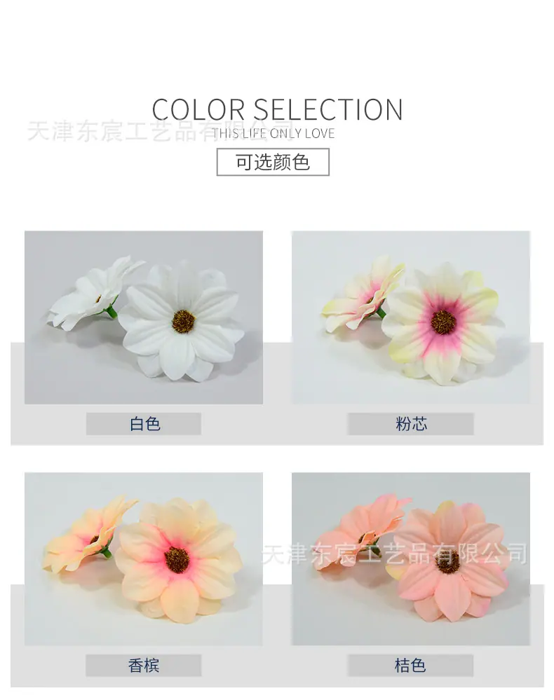 详情_02.jpg
