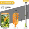 El artefacto para recoger fruta se puede conectar al poste largo telescópico para recoger níspero, caqui, mirto, manzana, longan, azufaifa, albaricoque, nuez, fruta