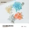 Materiais para Artesanato DIY de Flores Eternas no Atacado, Flores Secas, Frutas Secas, Rodelas de Laranja, Pinhas, Adereços para Fotografia de Flores, Materiais para Artesanato DIY de Jardim de Infância