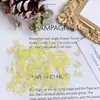 Celebridad de Internet Resina Mariposa Aurora Accesorios para Uñas Color Mágico Japonés Mariposa Pequeña de Hada Tridimensional Accesorios para Uñas Diy