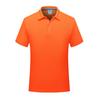 Camisa Polo de Manga Curta Secagem Rápida Ponto Piqué Masculina para Atividade Camisa Publicitária Estampa Bordada Logo em Grupo Corrida Esportes Roupas de Trabalho