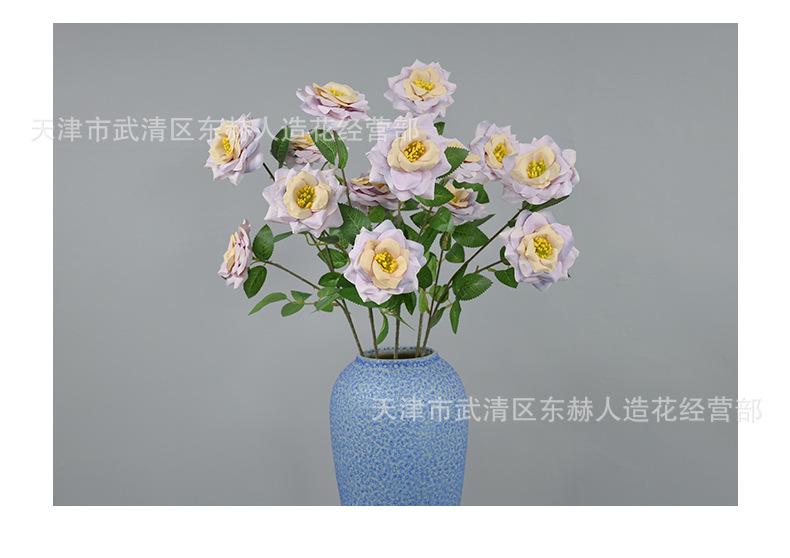 详情_13.png